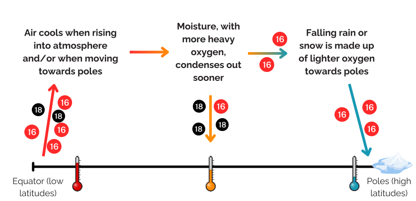 <ul><li><p>Equator = more solar radiation, water evaporates more readily taking up more oxygen-16 with it and some oxygen-18</p></li><li><p>As it gets higher in the atmostphere the water vapour will cool and move towards the poles</p></li><li><p>As it gets closer to the poles it cools, so everything condenses and rain forms</p></li><li><p>Oxygen-18 conseses out at a lower latitude</p></li><li><p>Near the poles (higher latitude) where it is really cold, water vapour = oxygen-16</p></li><li><p>Rain or snow near poles = oxygen-16, falls as snow and gets locked up as ice in the higher latitudes</p></li><li><p>More pronounced at colder temperatures  </p></li></ul><p></p>