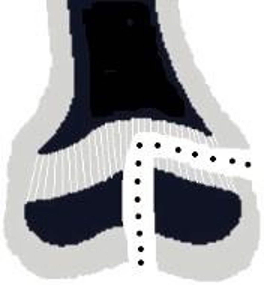 <p>starts through growth plate, then turns & exits into adjacent joint (AKA epiphysis & physis)</p><p>(L – Lower)</p>