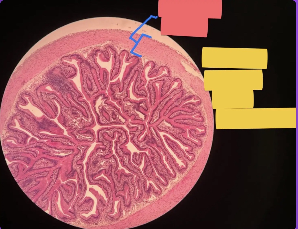 <p>What does the red box represent?</p>