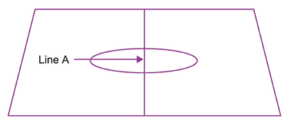 <p>On the Horizontal-Vertical illusion, the ________ were more susceptible than westerners</p>