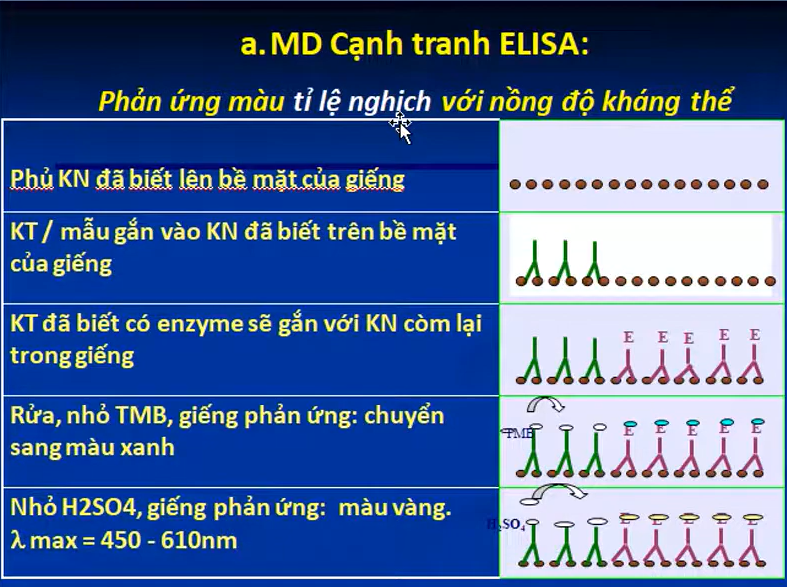<p>phương pháp MD cạnh tranh và k cạnh tranh</p>
