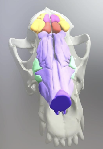 <p>Can you name these parts?</p>