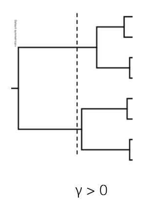 <p>(measuring diversification)</p><ul><li><p>excess of young nodes</p></li><li><p>γ will be positive</p></li><li><p>skewed to the right</p></li></ul><p></p>
