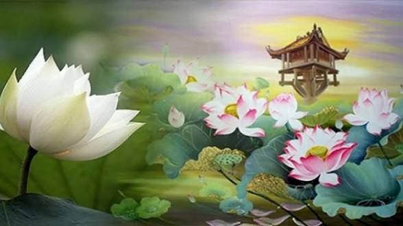 <p><span><span>What does 'Hướng Thiện' mean in Buddhism? [‘Hướng Thiện’ trong đạo Phật có nghĩa là gì?]</span></span></p>