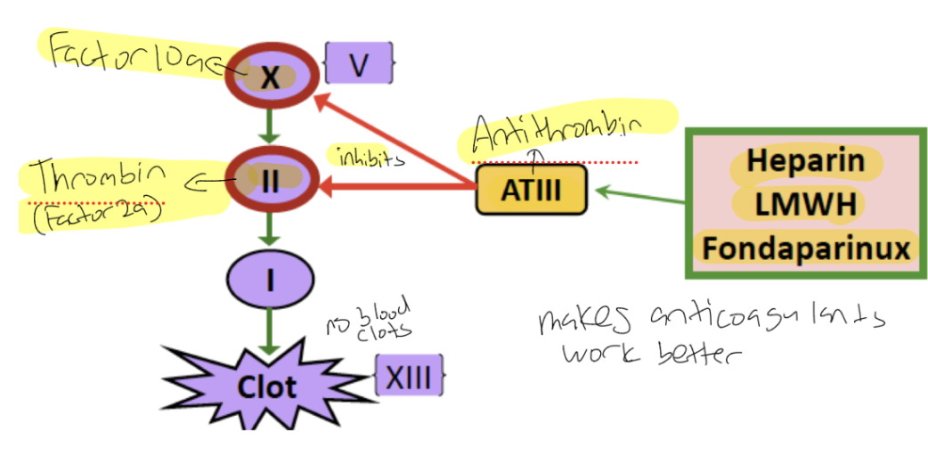 <p><span style="background-color: transparent;"><strong>Indirect Inhibitors of Common Pathway: <u>Anti-thrombin</u></strong></span></p><ul><li><p><span style="background-color: transparent;">Made by the _____, circulates _____</span></p></li><li><p><span style="background-color: transparent;">_____ clotting factors _____ by binding in a stable _____ complex</span></p></li></ul><p></p>