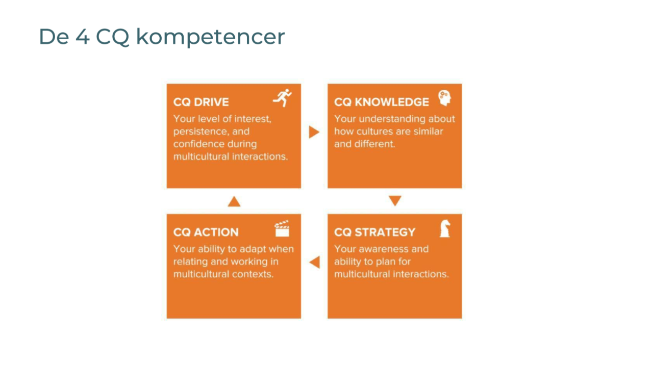 <p><strong>CQ Drive</strong> (motivation for at arbejde med andre kulturer)<br>• Interesse og lyst til at lære<br>• Vedholdenhed i nye situationer<br>• Eksempel: du opsøger aktivt samarbejde med internationale kolleger</p><p><strong>CQ Knowledge</strong> (viden om kulturelle forskelle)<br>• Forstå normer, værdier og adfærd<br>• Kendskab til fx hierarki, kommunikation og beslutninger<br>• Eksempel: ved at nogle kulturer er mere direkte end andre</p><p><strong>CQ Strategy</strong> (evne til at planlægge og forstå kulturelle situationer)<br>• Reflektere og tilpasse sig<br>• Forstå hvad der sker i interaktioner<br>• Eksempel: justere din tilgang før et internationalt møde</p><p><strong>CQ Action</strong> (evne til at handle og tilpasse adfærd)<br>• Tilpasse kommunikation og adfærd<br>• Bruge forskellige samarbejdsstile<br>• Eksempel: ændre tone eller kropssprog afhængigt af kultur</p>