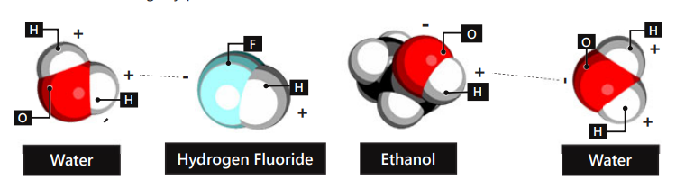 <p>An example of hydrogen bond </p>