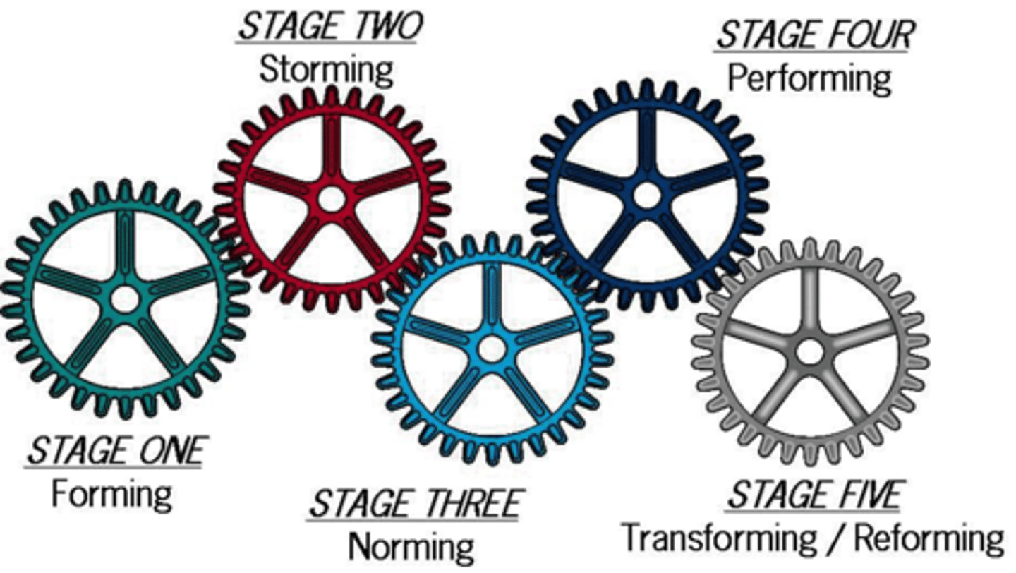 <p>Forming, Storming, Norming, Performing, and Adjourning.</p>