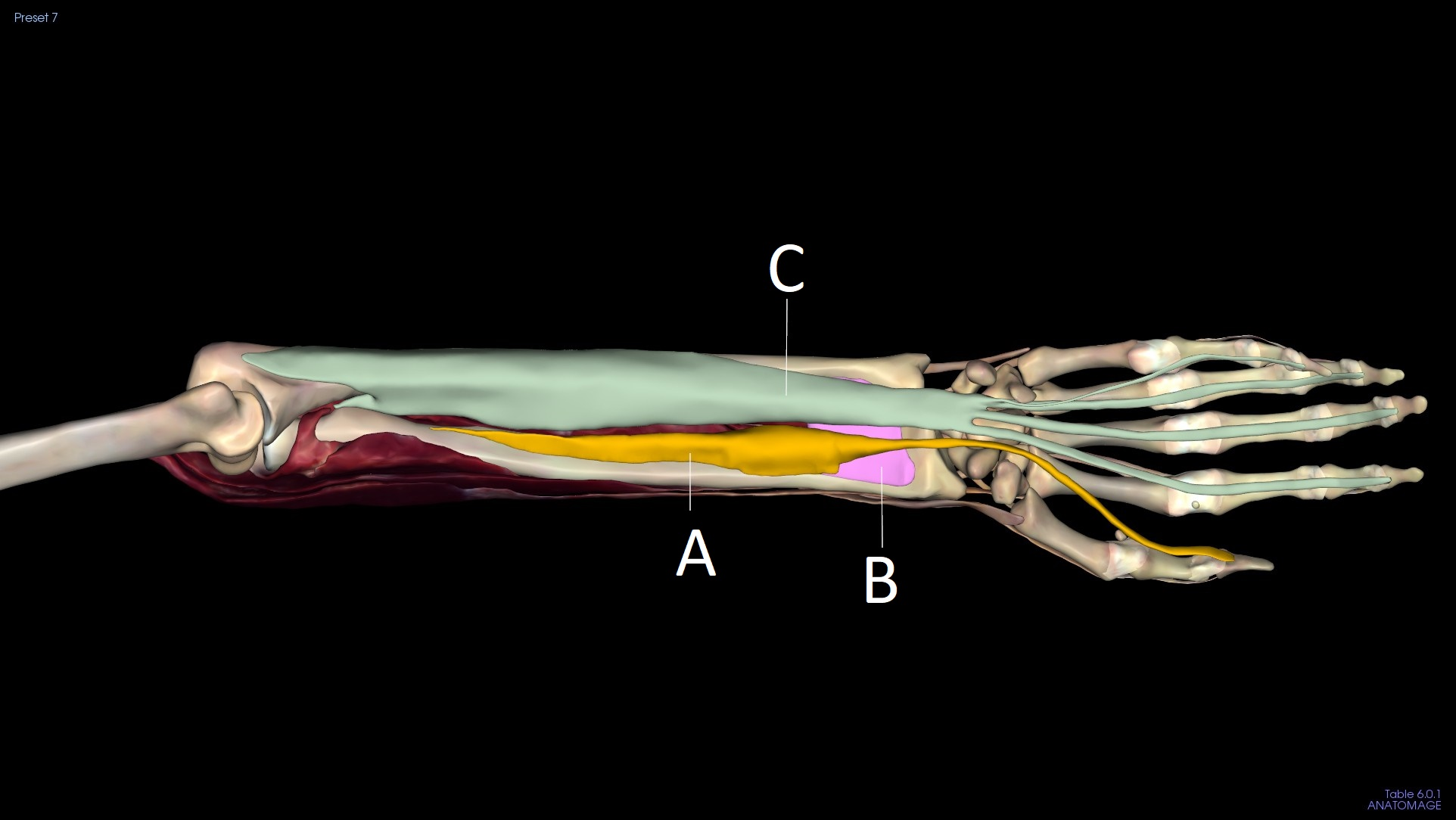 <p>B</p>