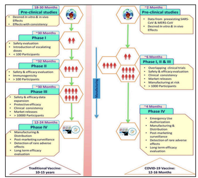 <p>This figure differentiates the preclinical phases from the clinical phases of typical vaccine vs. traditional ones</p>