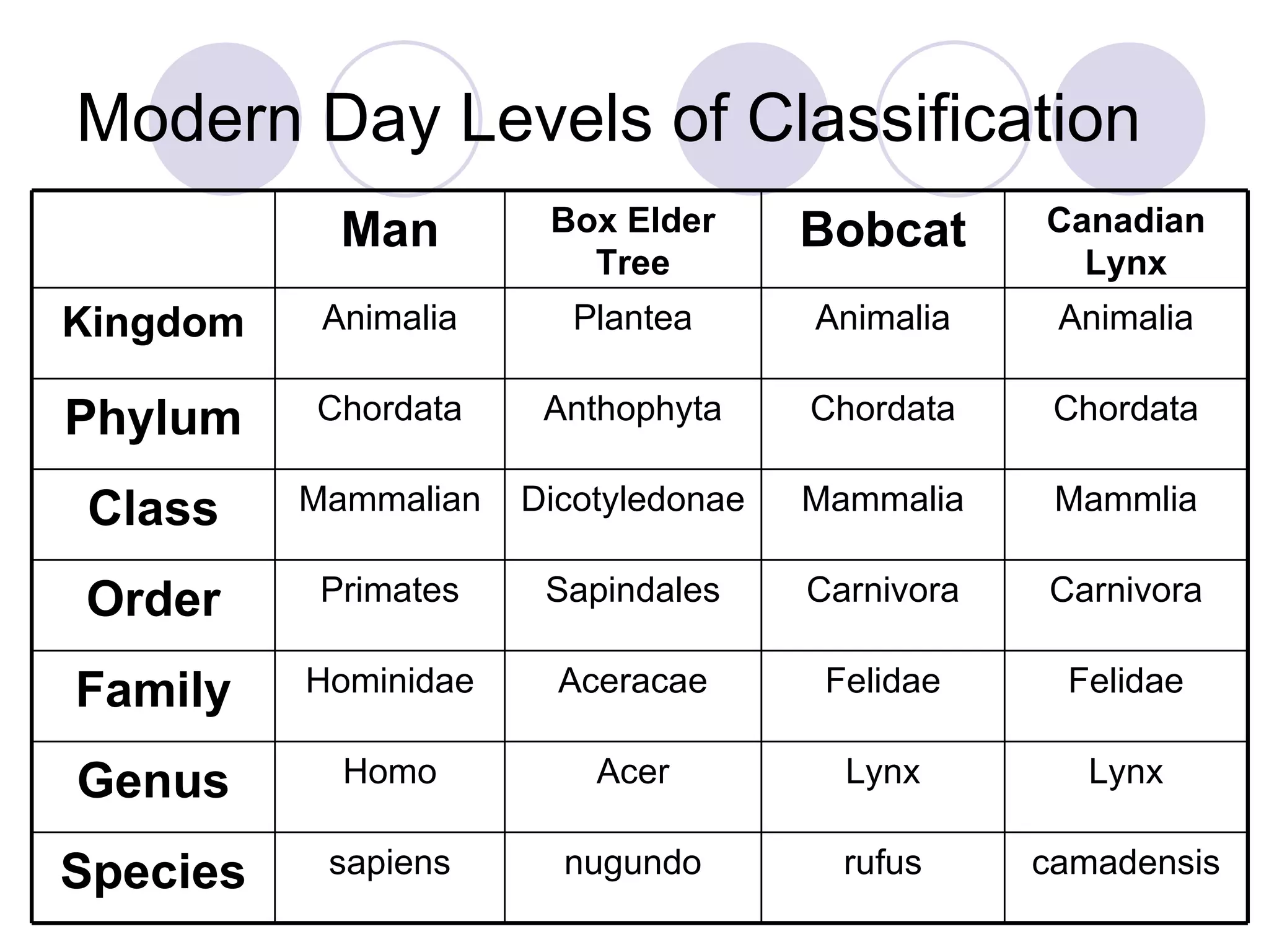 <p>Which organisms are the most closely related with each other?</p>