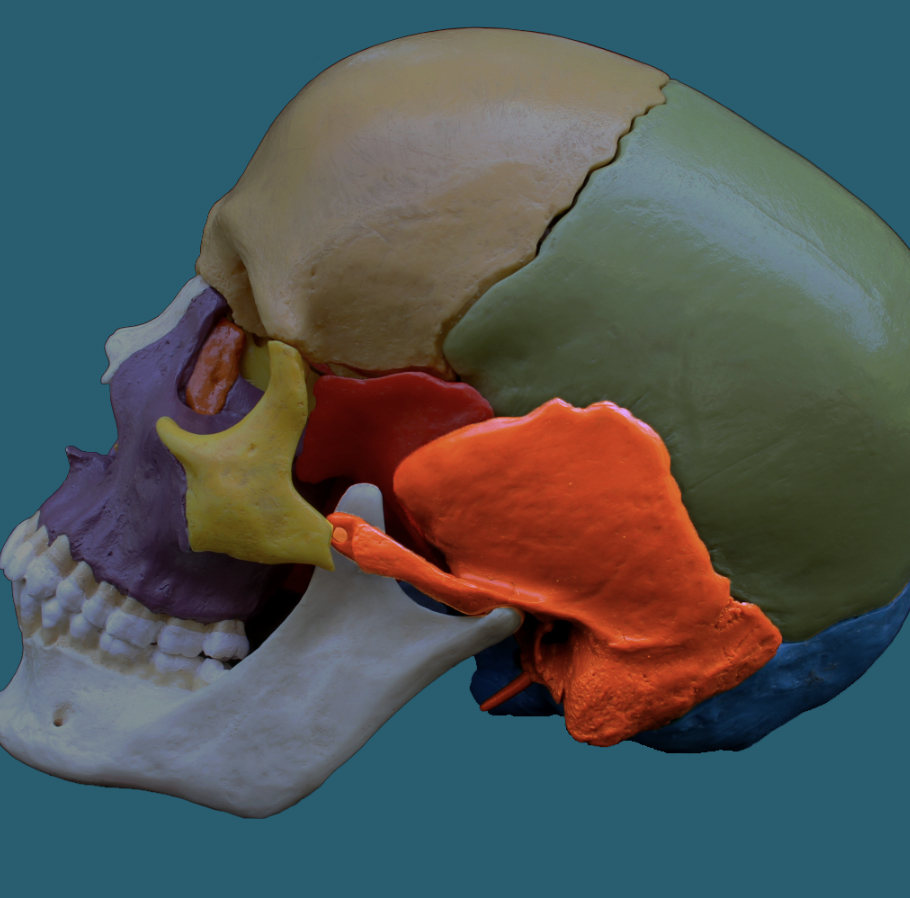 term image
