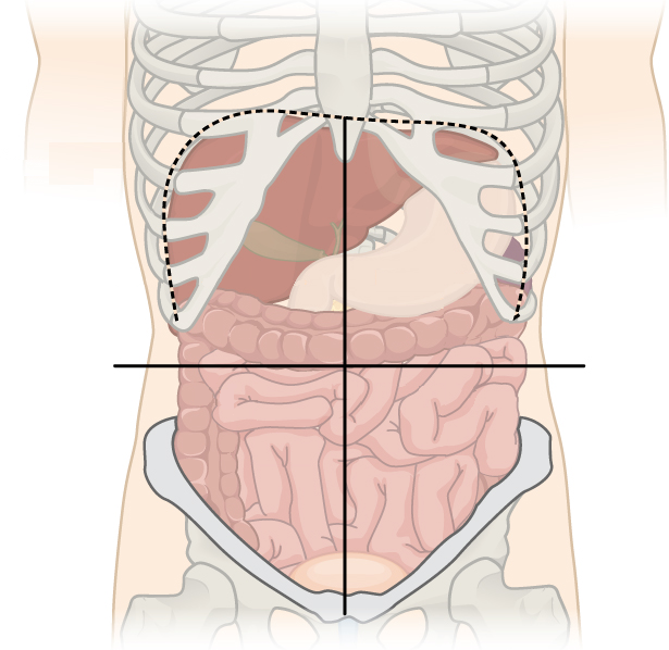 <p>what is the bottom right quadrant</p>