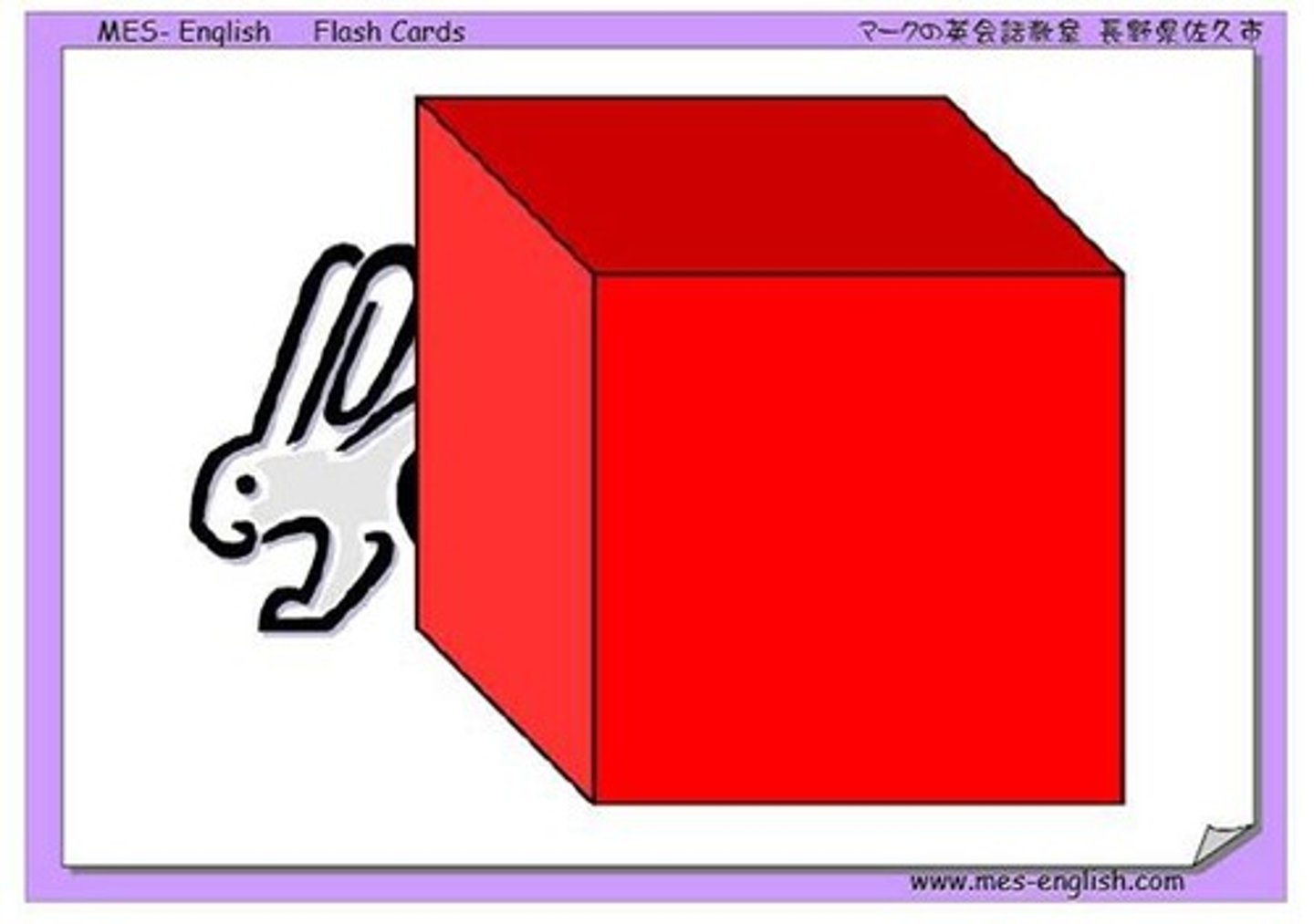 <p>el conejo está ... la caja</p>