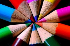 <p>colors, tastes, smells, sounds, and textures</p>