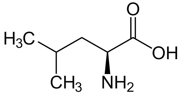 <p>What amino acid is this?</p>