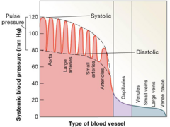 <p>Represents the Systolic Blood Pressure.</p>