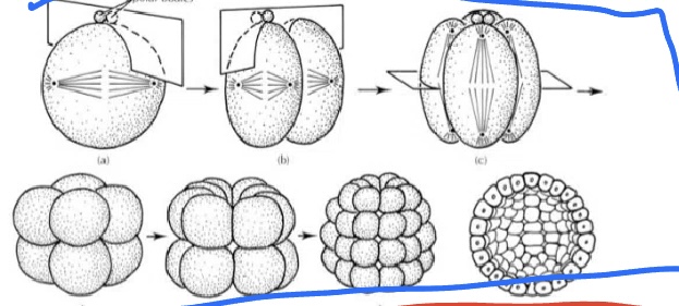 <p></p>