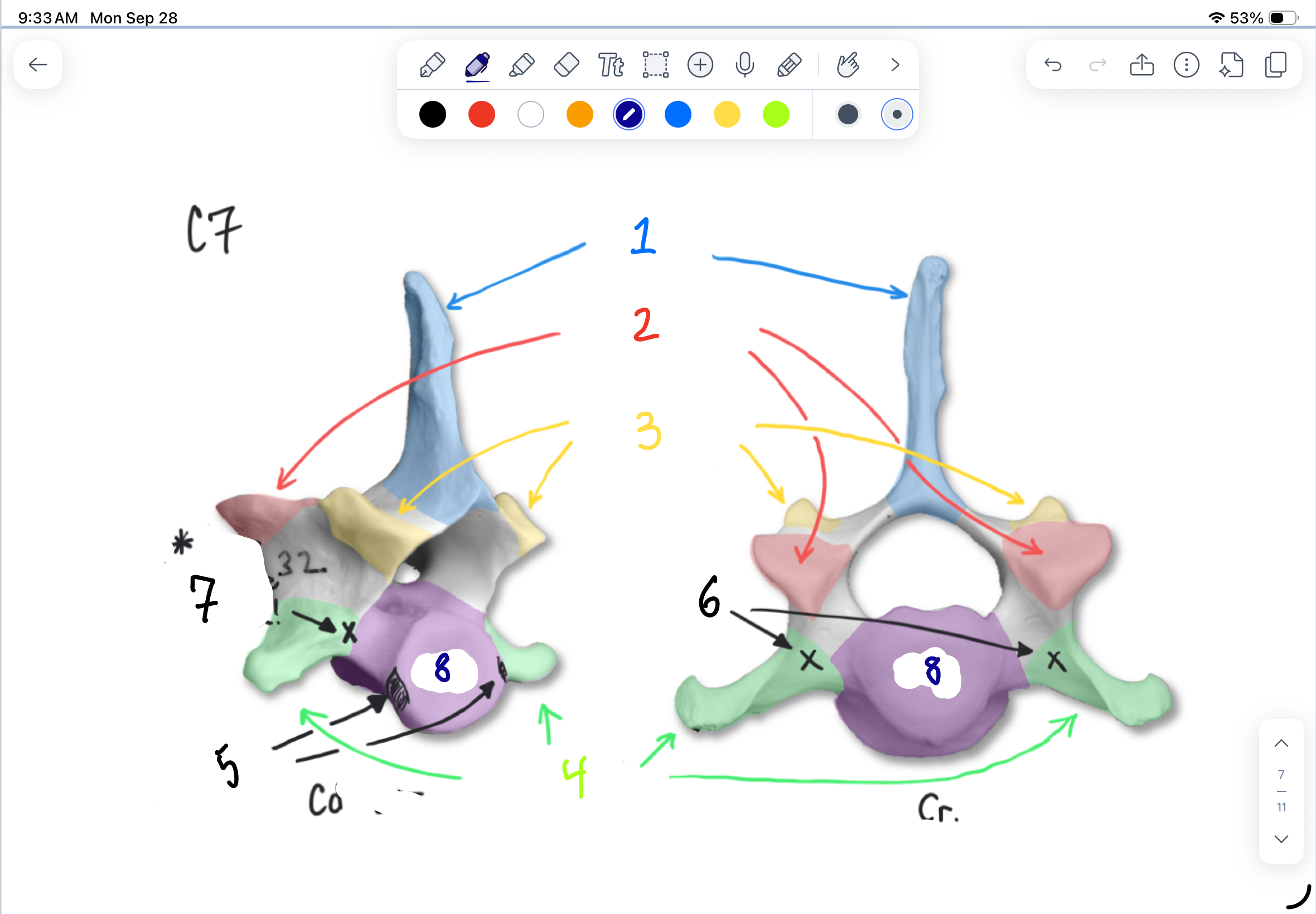 <p>7</p>