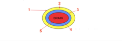 <p>What is 2?</p>