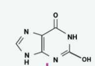 <p>name this structure</p>