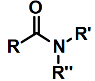 <p>Amide (if cyclic: Lactam)</p>