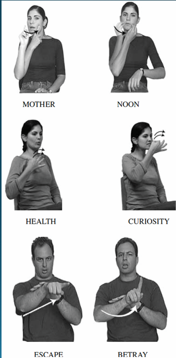 <p>Parameters of Sign Language</p>