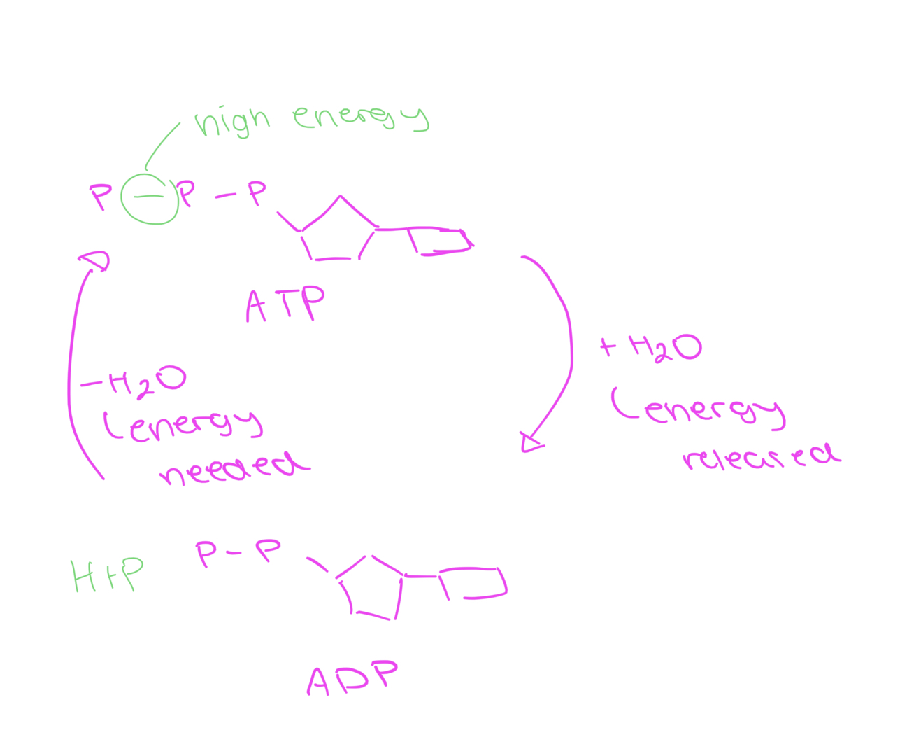 knowt flashcard image