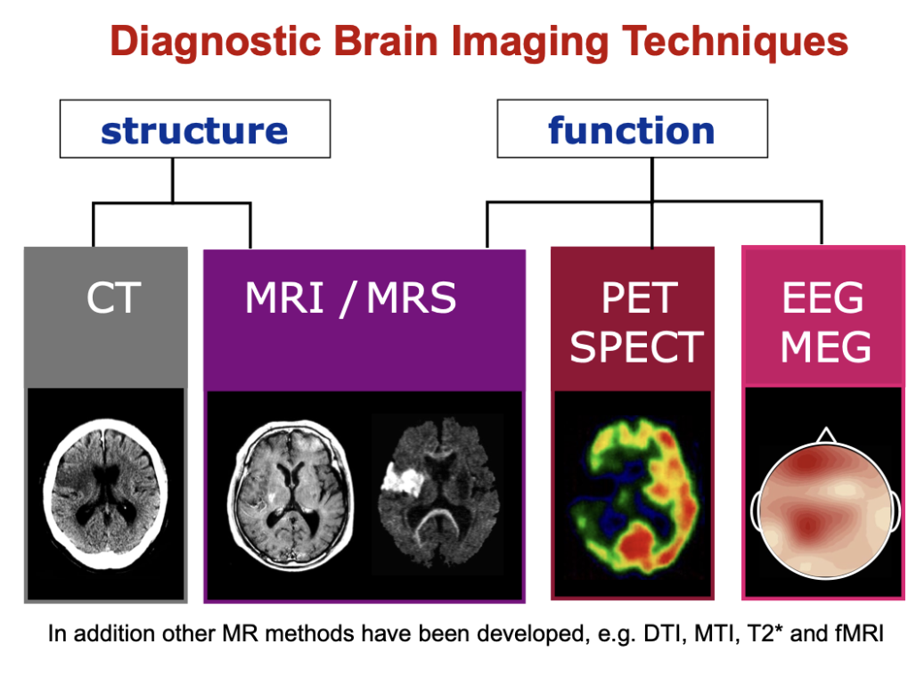 <p>structure- CT and MRI/MRS</p><p>function- PECT/SPECT and EEG/MEG</p>