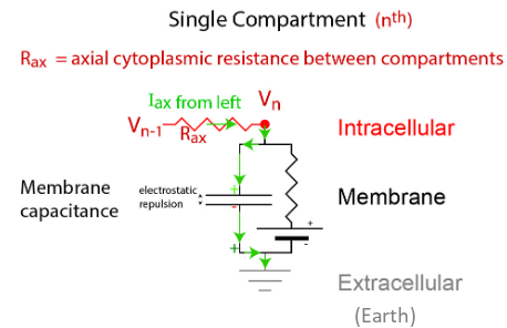 <p>Iax = voltage drop (Vn-1 - Vn) / Rax = g ax x voltage drop (Rax is axial resistance)</p>