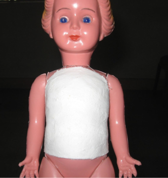 term image