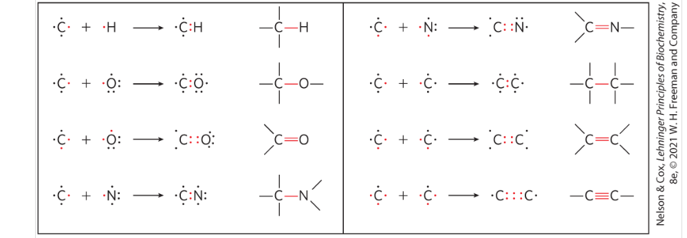 <p>what is unique about carbon? </p>
