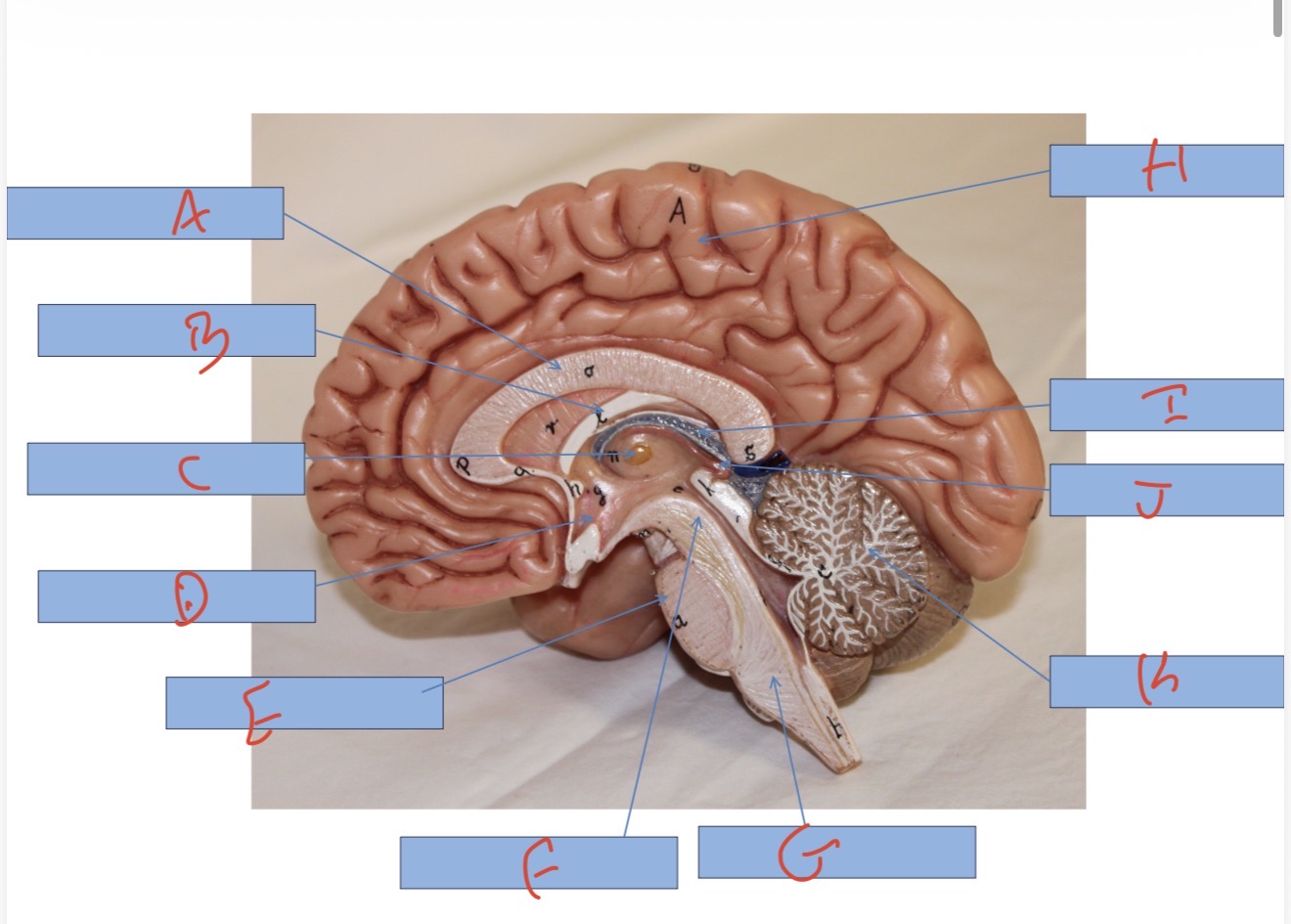 <p>What is E?</p>