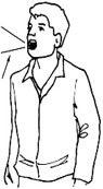 <p>voice, voices</p>