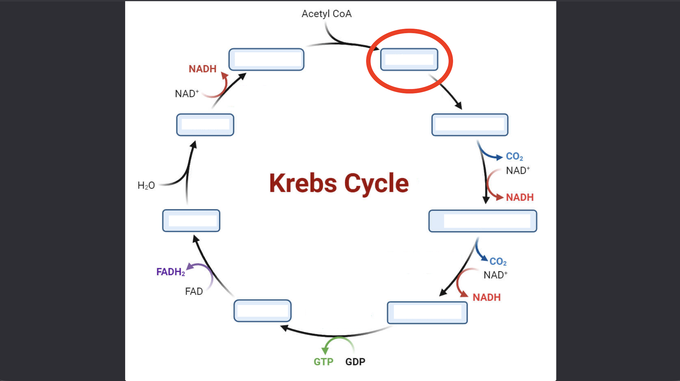 <p>Intermediate 1</p>