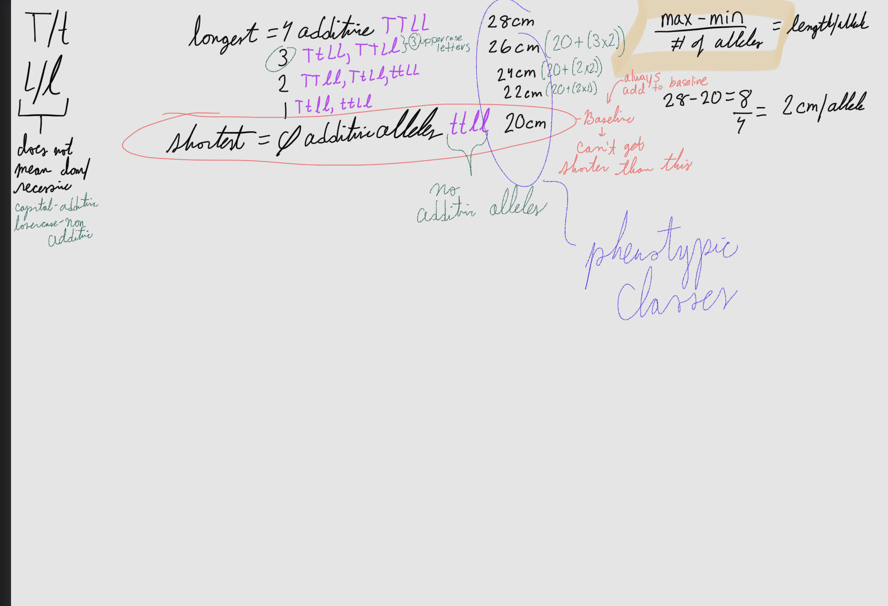 <p>Two genes in corn, each with two alleles, contribute to ear length</p><p>• allele L contributes to long ears; allele l does not</p><p>• allele T contributes to long ears; allele t does not</p>