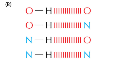 <p>Which side is the donor atom?</p>