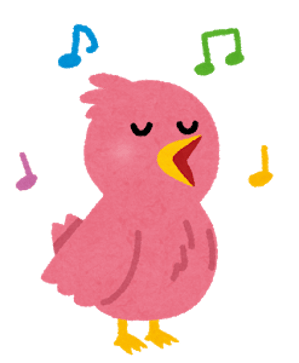 <p>bird</p>