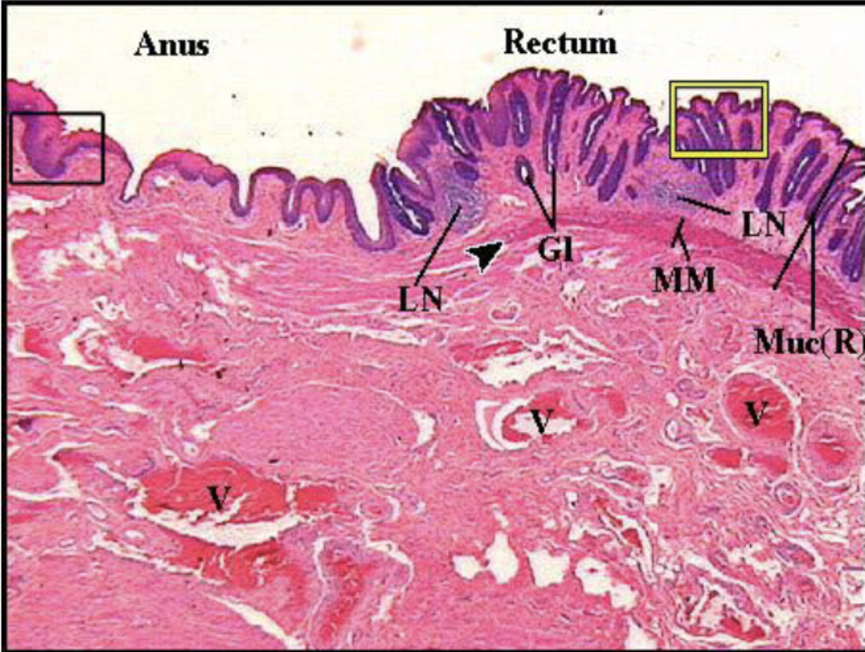 <p>What is this></p>