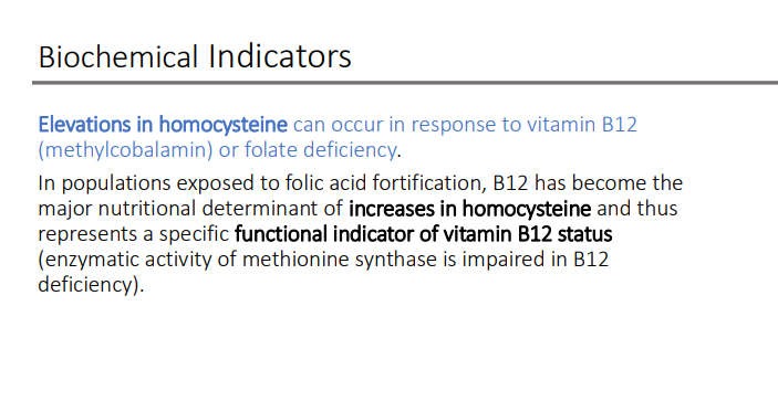 <p>homocysteine</p><p>functional indicator of vitamin B12 status </p><ul><li><p>(enzymatic activity of methionine synthase is impaired in B12 deficiency)</p></li></ul><p></p>