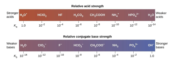 <ul><li><p><strong>Stronger</strong>, <strong>weaker (more stable)</strong> </p></li></ul><p></p>