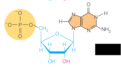 <p>What molecule is this?</p>