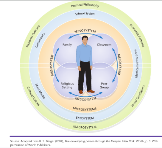 <p>the model involves different systems of influence nested in one another:</p><ul><li><p>mesosystem → individual’s inner circle, so immediate contacts we interact with everyday e.g. family, peer group, classroom, religious setting</p></li><li><p>exosystem → wider cultural/environmental factors impacting everyday environments, e.g. school/medical systems, media + community</p></li><li><p>macrosystem → even wider factors impacting exosystem, e.g. economy, social conditions, political philosophy/customs, cultural values</p></li></ul><p></p>