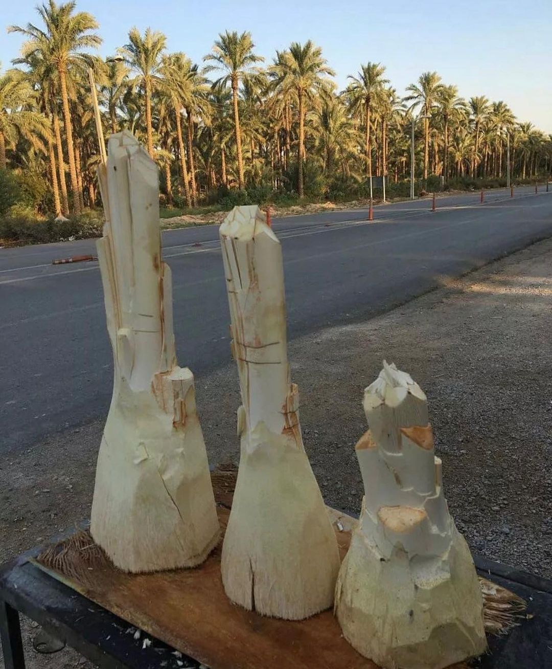 <p>نام علمی : Phoenix dactylifera </p><p>خانواده : Arecaceae </p><p>میوه : شفت </p><p>مغز گیاه : پنیر نخل-خوراکی که با برش در ساقه دیده میشود</p><p>اندام دارویی : میوه </p><p>کاربرد دارویی : اثر ایمونواستیمیولانت (محرک سیستم ایمنی) کاهنده میزان شیوع سرطان (به وسیله پلی ساکاریدهایش) ، برخی نژادها دارای تانن اند </p><p>خواص تانن : برای دباغی پوست و ساخت چرم مورد استفاده قرار میگیرد، باعث اتصالات اسید آمینه‌ای در پروتئین ها، (این اتصالات در بزاق دهان هم ایجاد میشود که باعث حالت جمع شدن بزاق در دهان میشود) در بهبود اسهال با منشا حساسیت غذایی یا عدم تحمل غذا موثر است. </p><p>تانن در خرمای خشک>>>در خرمای تر</p><p>گیاه خرما نفر حساب میشه :)</p><p></p>
