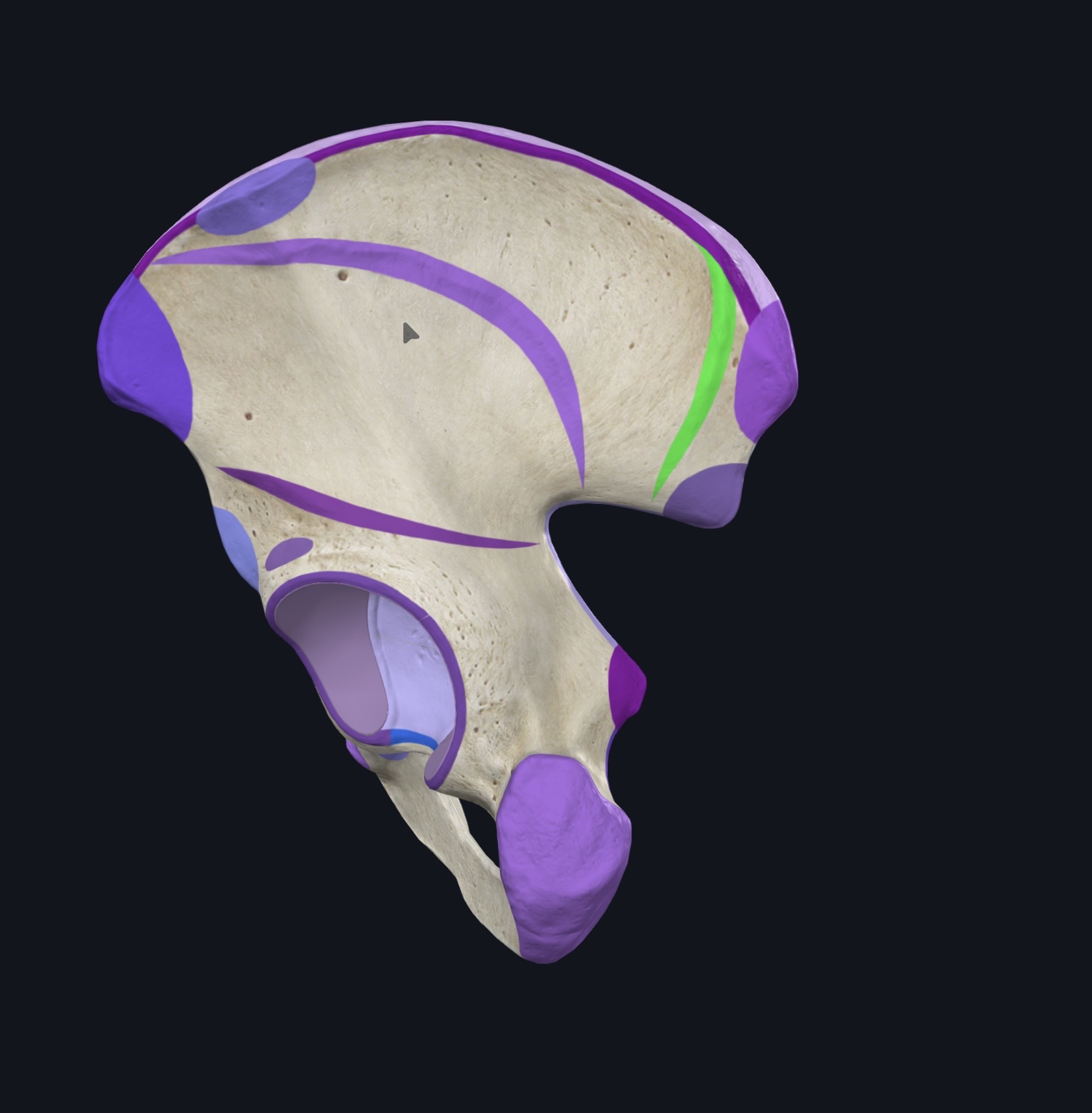 <p>¿Qué es esto?</p>