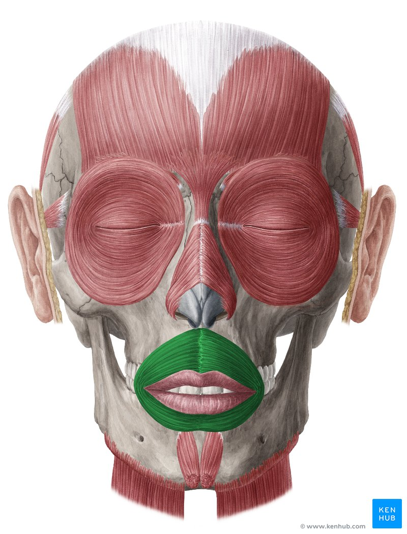 <p>structure</p>