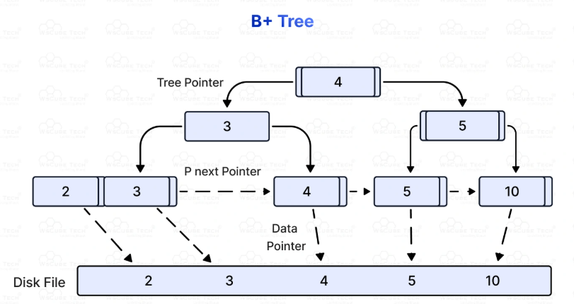 <p><strong>B+ Trees</strong>: A B+ tree is a variant of the B-tree in which all values are stored at the leaf level, and internal nodes only store keys for indexing. B+ trees are widely used in databases for efficient range queries. Also the leave nodes are connected via a linked list to facilitate sequential access. <br></p>