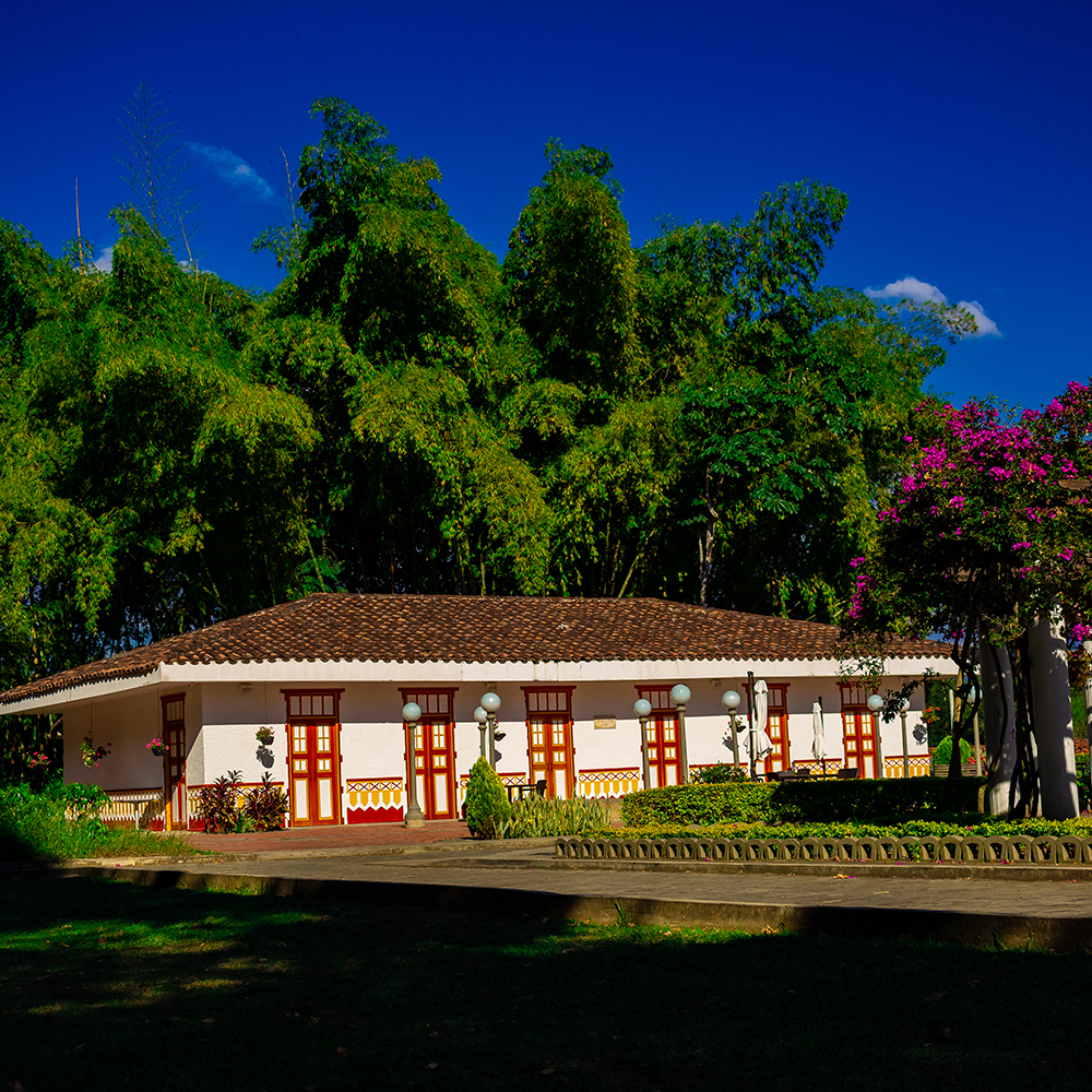 <p>Caldas, Manizales</p>
