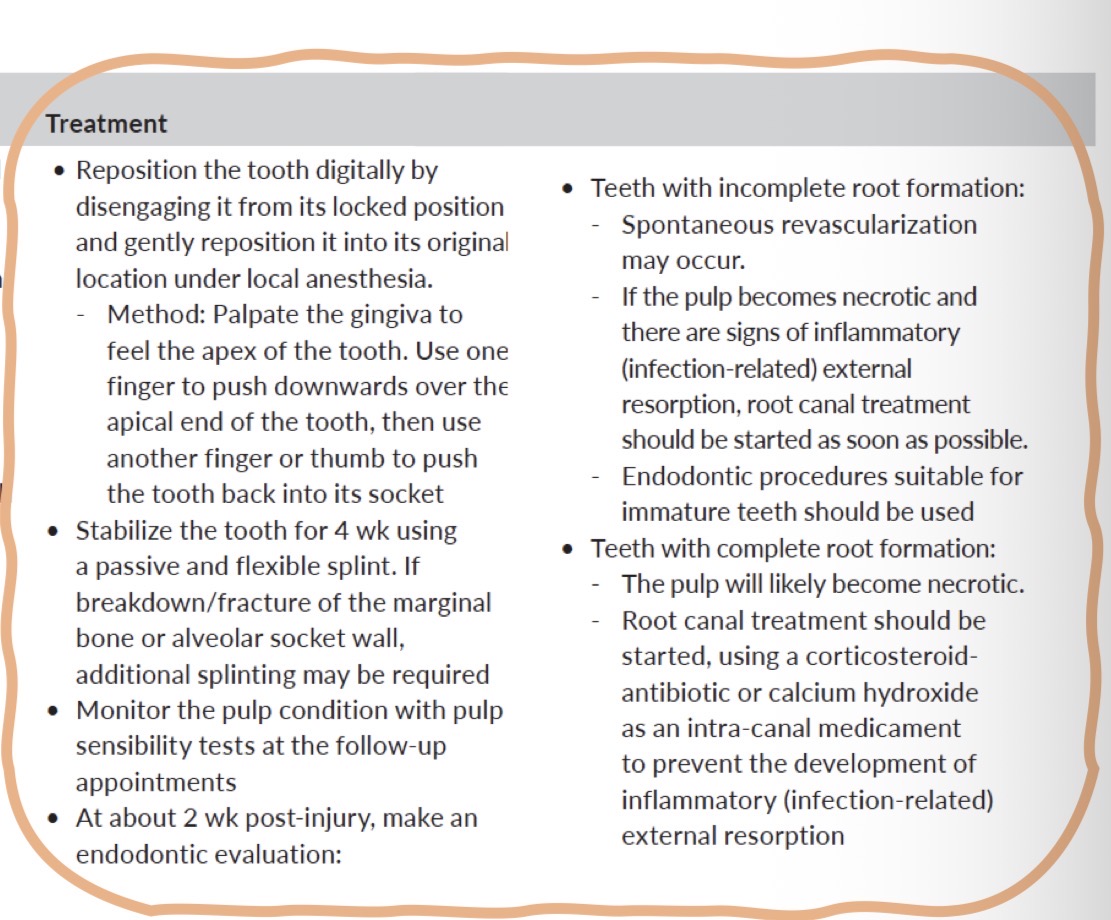 <p>Tooth displaced, usually palatal/labial direction- immobile, possible occlusal interference</p><p>Periapical (size 0) or occlusal (size 2) initially, increase pdl space apically- better seen on occlusal esp if tooth displaced labially</p><p>Minimal/<strong>no occlusal interference</strong>- <strong>spontaneously reposition</strong>- occurs within 6 months</p><p><strong>If severe displacement</strong>- under LA- <strong>extract</strong> if risk of ingesting tooth or gently <strong>reposition</strong></p><p>If <strong>unstable in new position</strong>- <strong>flexible splint</strong> attached to adjacent <strong>uninjured tooth </strong>for <strong>4 weeks</strong></p><p>If pulp becomes <strong>necrotic- endo</strong></p>