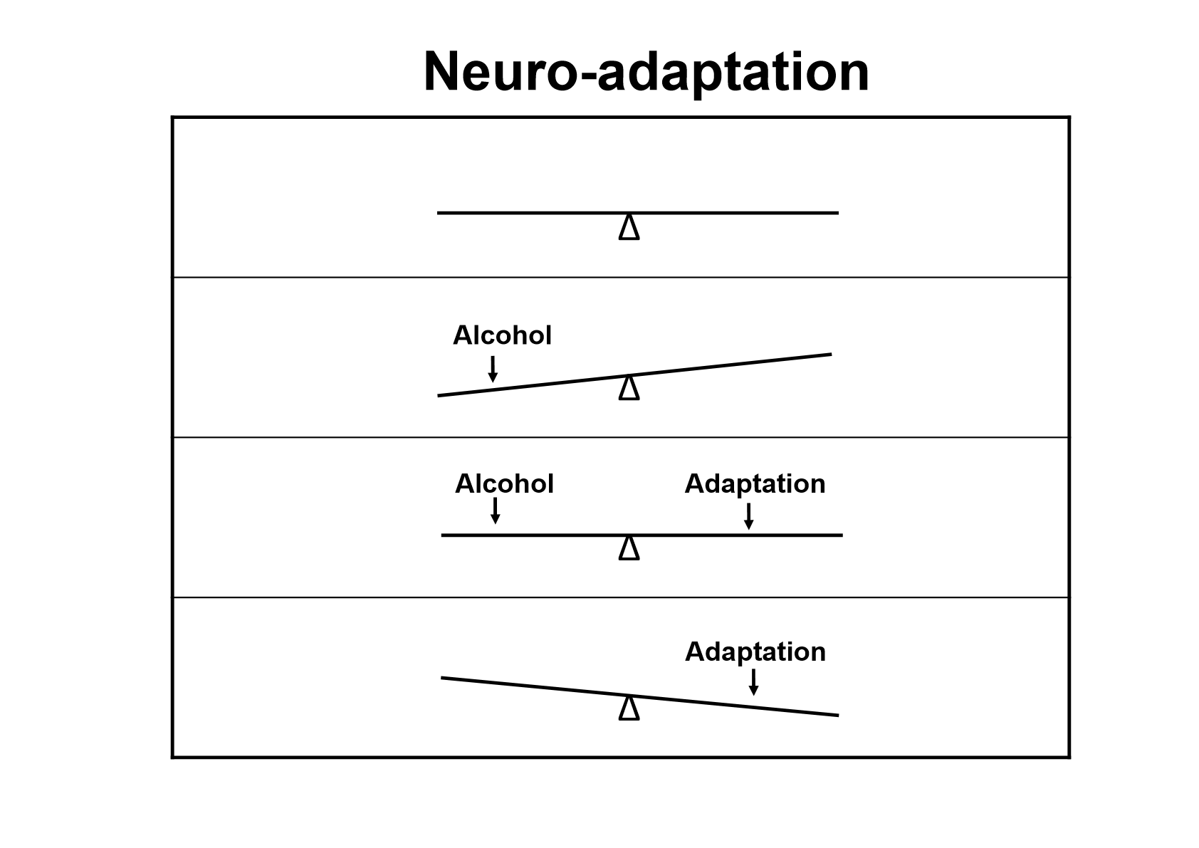 <p>Too much glutamate=increased, can lead to psychosis, convulsions and death</p><p>Gaba=inhibited, slow, death</p><p></p>